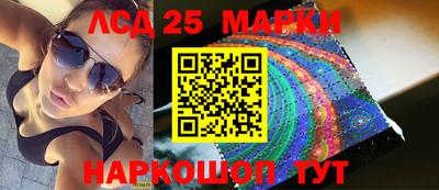 тгк Бийск