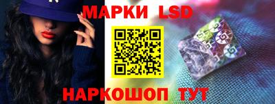 тгк Бийск