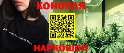 тгк Бийск