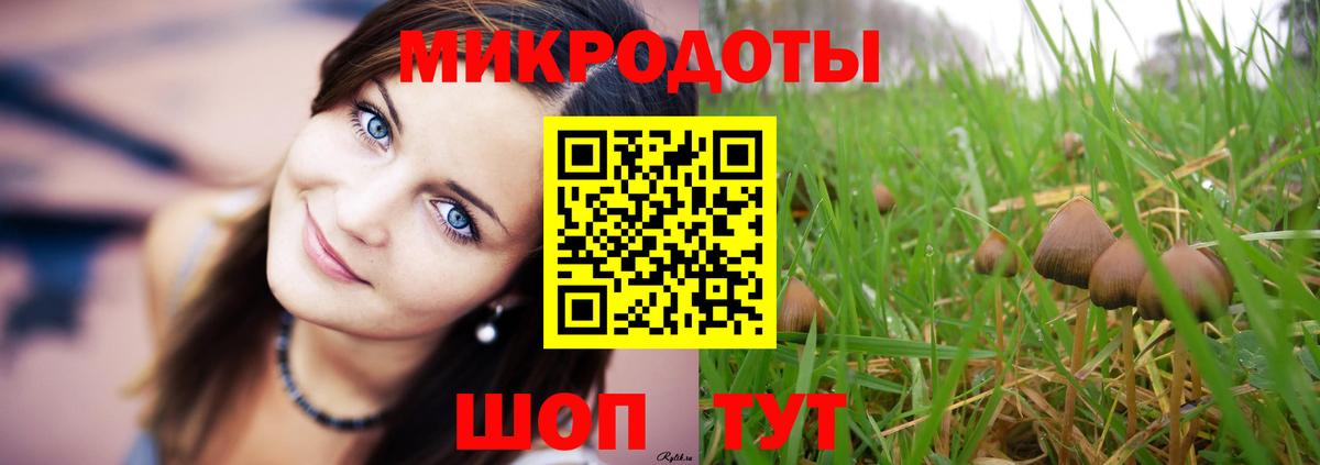 Кирово-Чепецк  Псилоцибиновые грибы GOLDEN TEACHER  Вход с VPN  Галлюциногенные грибы прущие грибы 